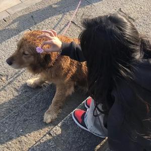 看老贵妇性爱视频
