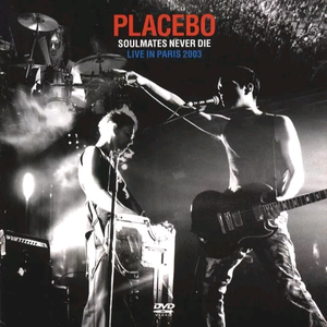 看老贵妇性爱视频
