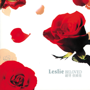 看老贵妇性爱视频
